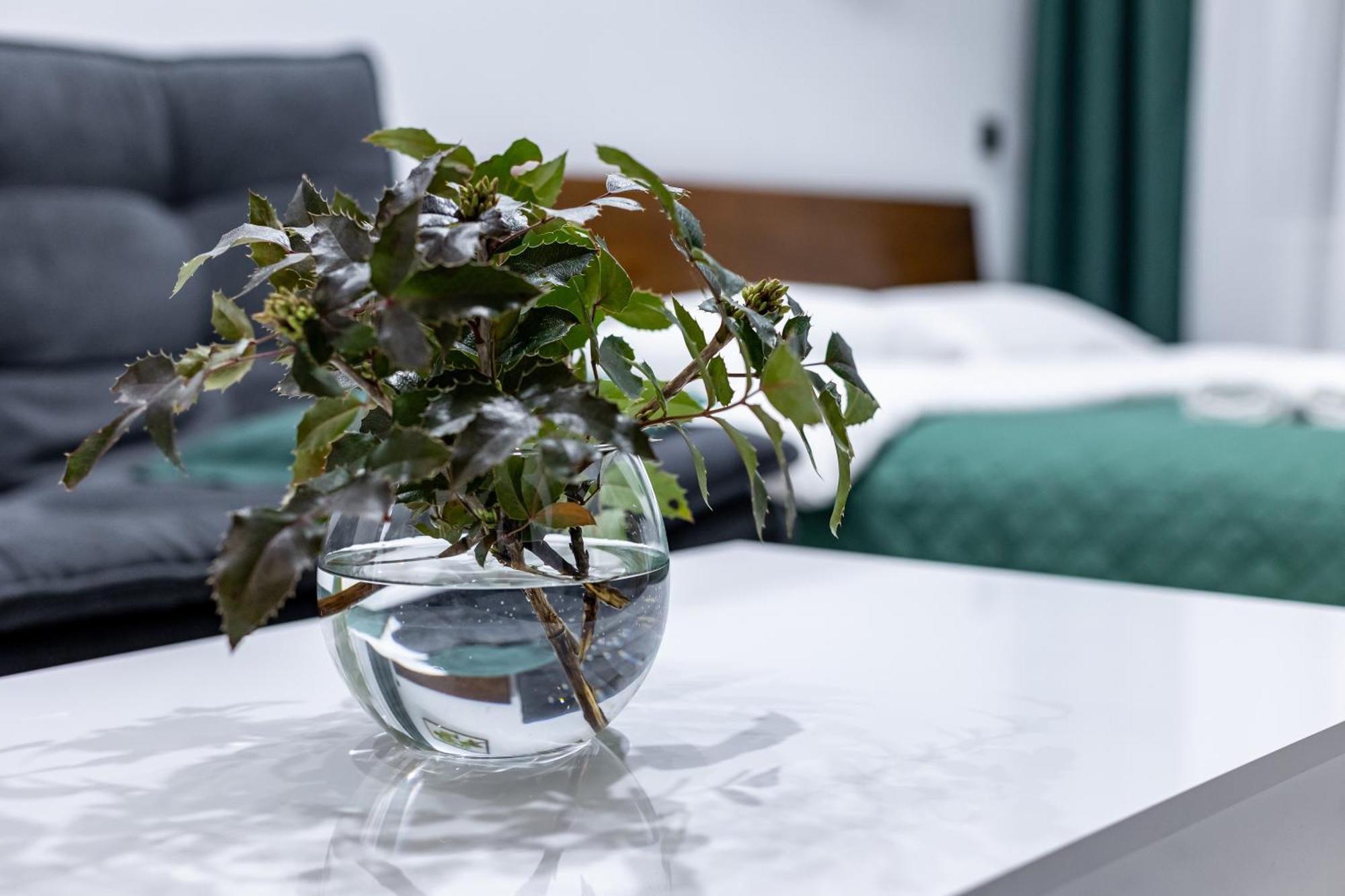 Cozy Apartments Center Львів Екстер'єр фото